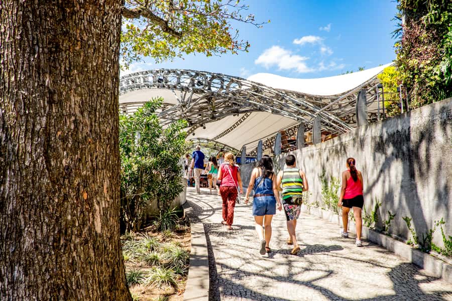 Rio: Christ the Redeemer Early Access and Sugarloaf - What this Rio tour is really designed to do