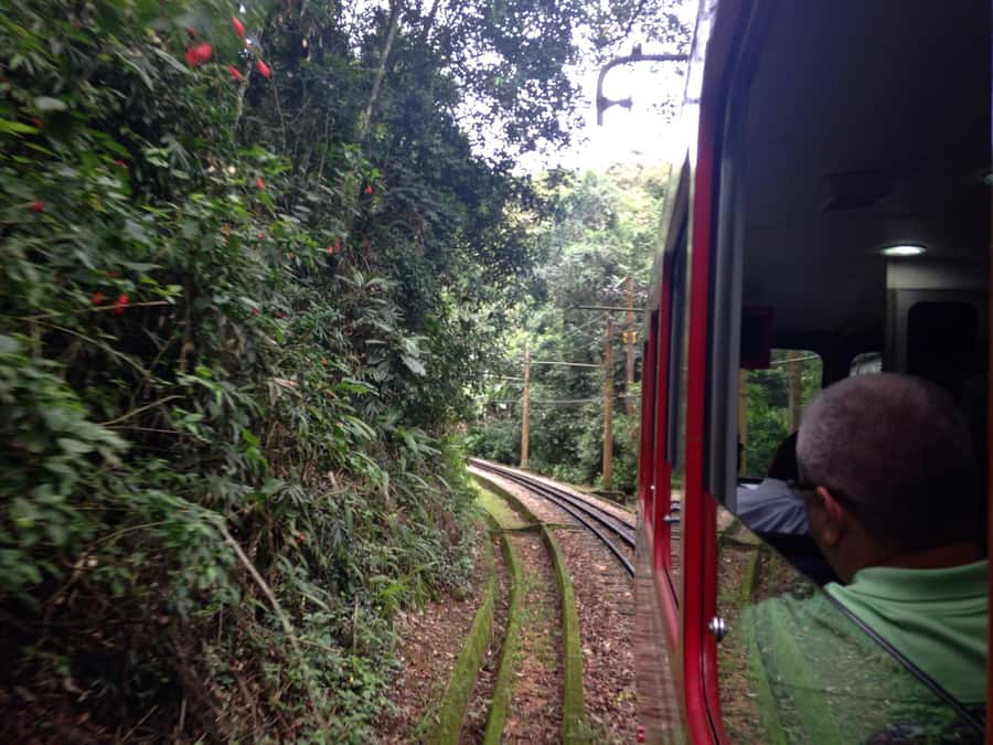 Rio: Christ The Redeemer Half Day Tour With Pick up - How the guide affects the experience