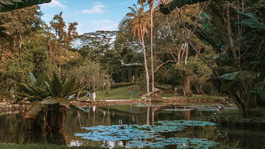 Rio de Janeiro: 4-Hour Botanical Garden & Tijuca Forest Tour - Key points to know before booking