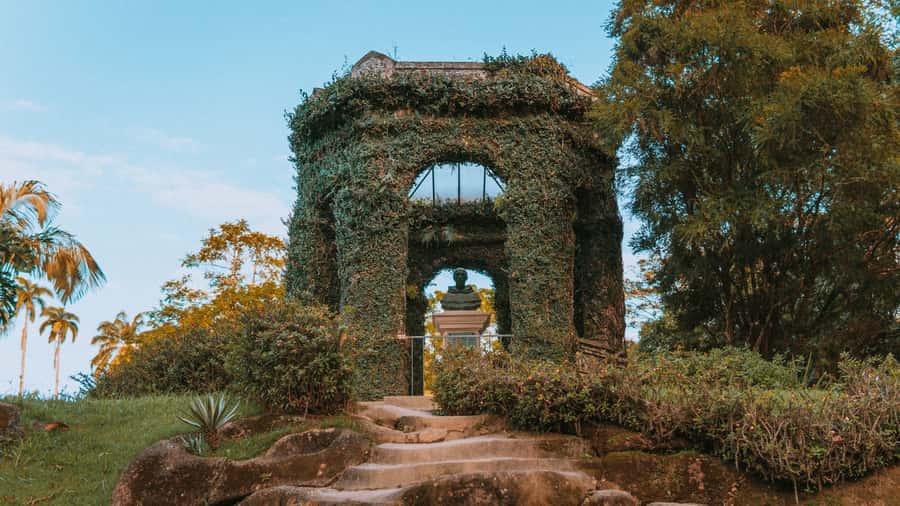 Rio de Janeiro: 4-Hour Botanical Garden & Tijuca Forest Tour - The climb to Vista Chinesa at 388 meters