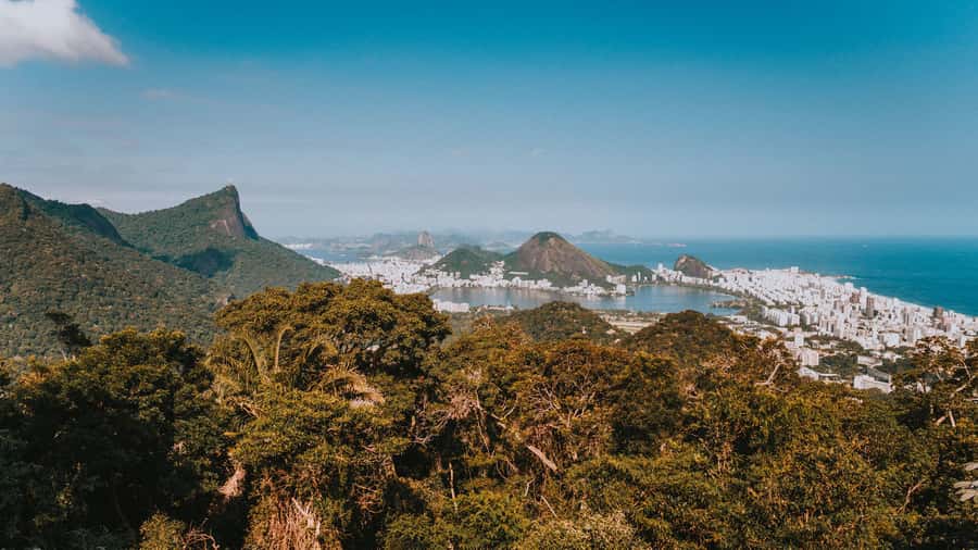 Rio de Janeiro: 4-Hour Botanical Garden & Tijuca Forest Tour - A short trail through Tijuca National Forest