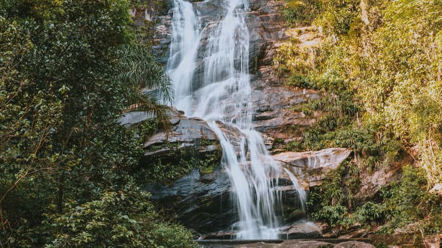 Rio de Janeiro: 4-Hour Botanical Garden & Tijuca Forest Tour - What the $51 price includes