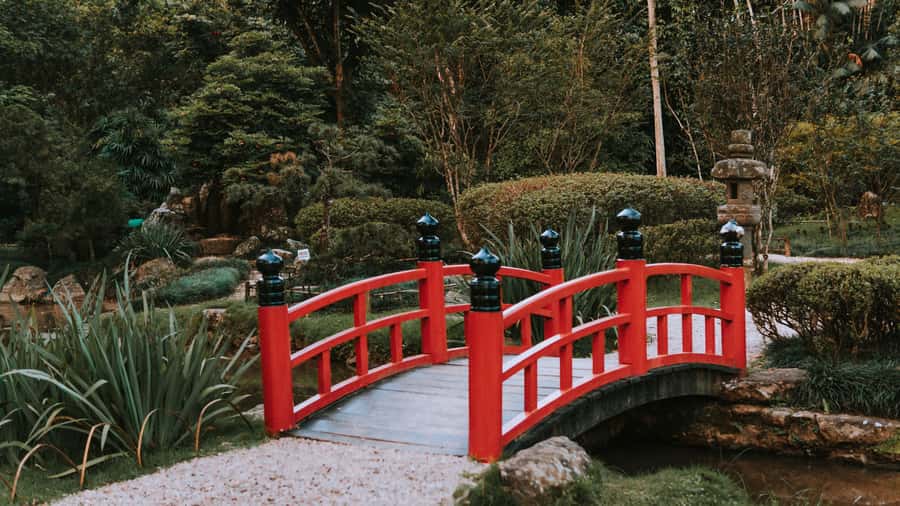 Rio de Janeiro: 4-Hour Botanical Garden & Tijuca Forest Tour - Who should book this Rio nature experience
