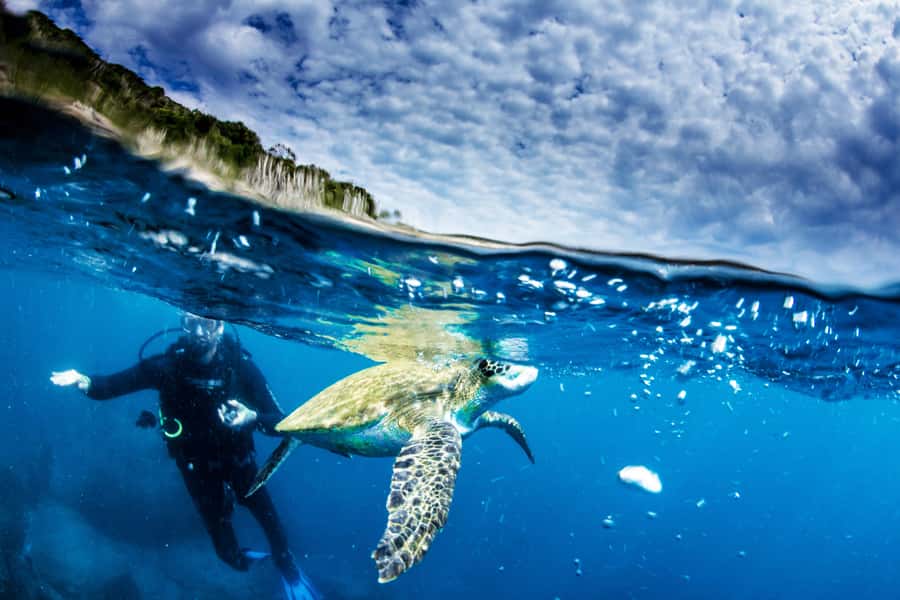 Rio de Janeiro: Arraial do Cabo Scuba Diving Day Trip - Practical preparation for the boat