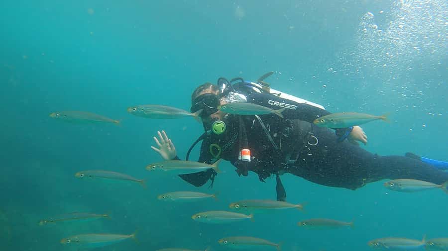 Rio de Janeiro: Arraial do Cabo Scuba Diving Day Trip - Lunch and the shape of a 10-hour day