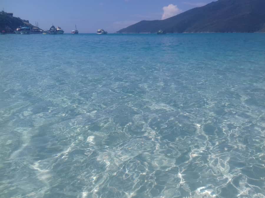 Rio de Janeiro: Arraial do Cabo Scuba Diving Day Trip - Who should book this outing?