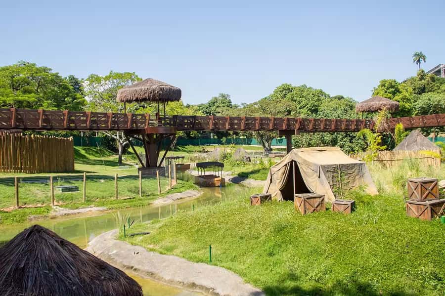 Rio de Janeiro: BioParque Guided Tour with Transfer - The transfer and the four-hour schedule