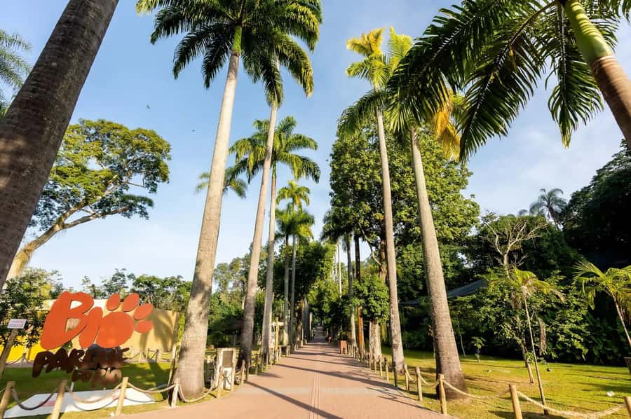 Rio de Janeiro: BioParque Guided Tour with Transfer - Is the $58 price fair?