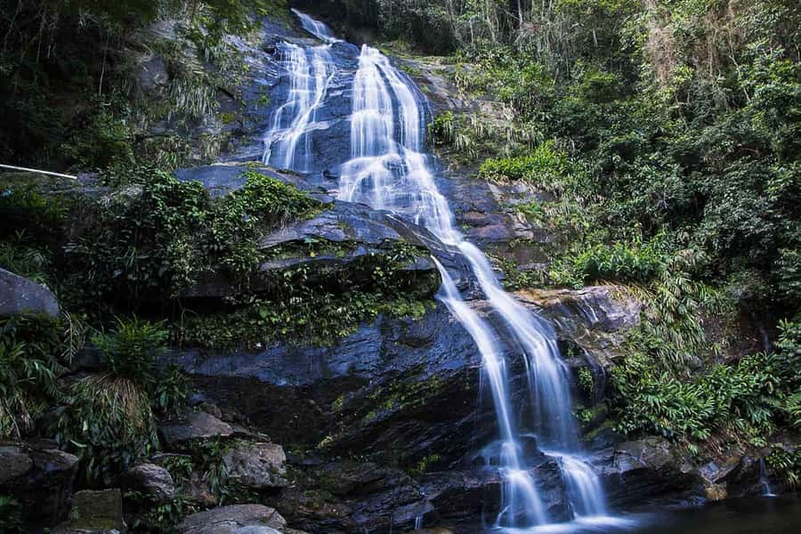 Rio de Janeiro: Botanical Garden & Tijuca Forest Guided Tour - From city streets to Tijuca Forest