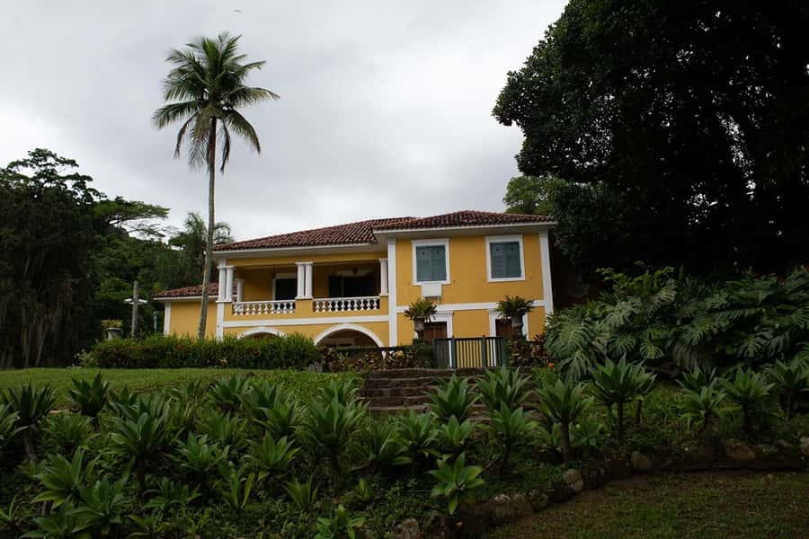 Rio de Janeiro: Botanical Garden & Tijuca Forest Guided Tour - Guides can shape the whole morning