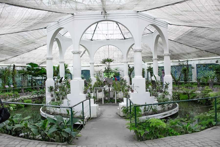 Rio de Janeiro: Botanical Garden & Tijuca Forest Guided Tour - Who should book this Rio nature tour?