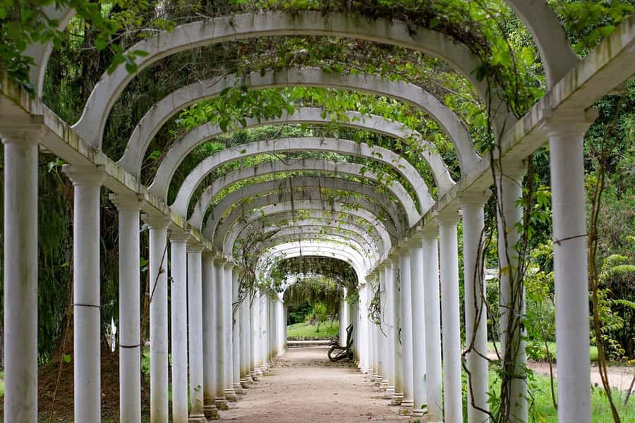 Rio de Janeiro: Botanical Garden & Tijuca Forest Guided Tour - FAQ