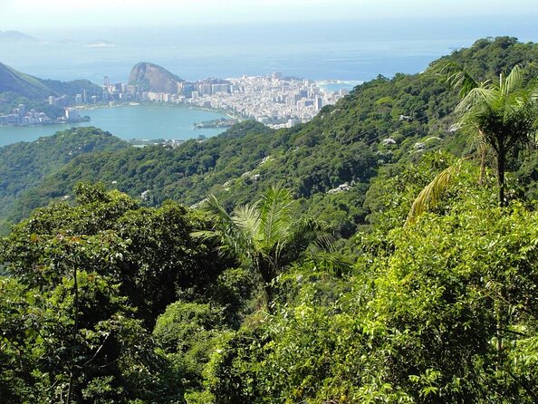 Rio de Janeiro Botanical Garden & Tijuca Forest Tour - Why this half-day pairing works in Rio