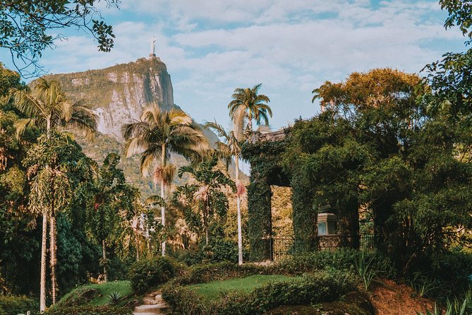 Rio de Janeiro Botanical Garden & Tijuca Forest Tour - Tijuca National Park: forest by road, with a few short walks