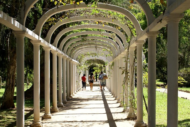Rio de Janeiro Botanical Garden Tour - Entering Rio’s 1808 royal garden