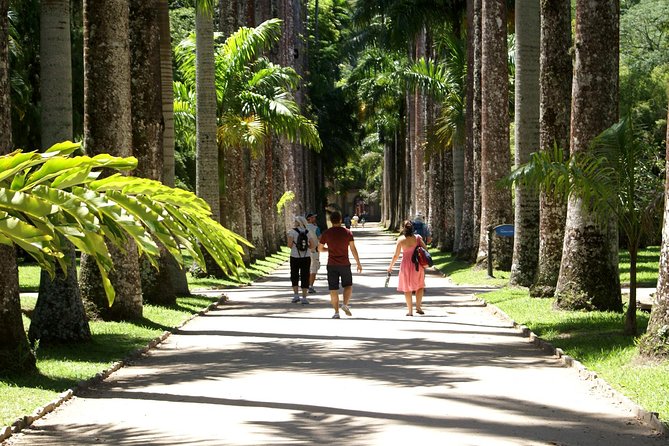 Rio de Janeiro Botanical Garden Tour - The orchid greenhouse is worth the visit alone