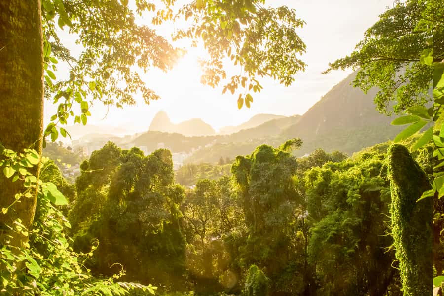 Rio de Janeiro: Christ, Selaron Steps, and Tijuca Park Tour - What $68 gets you
