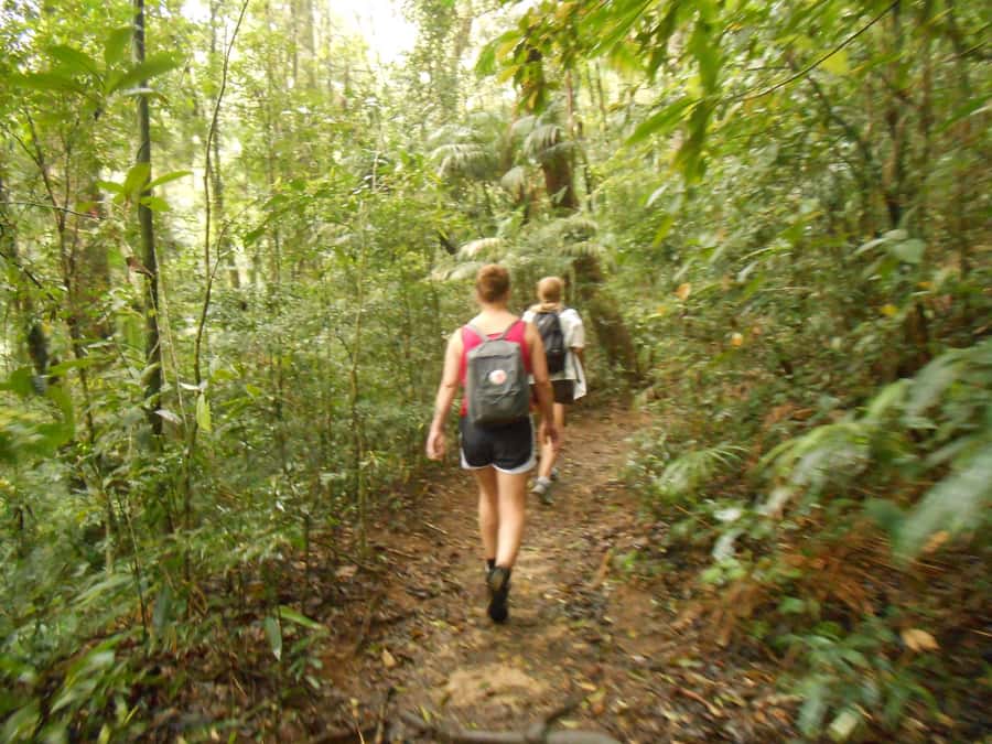 Rio de Janeiro: Christ the Redeemer Guided Hike - The descent and the return through the park