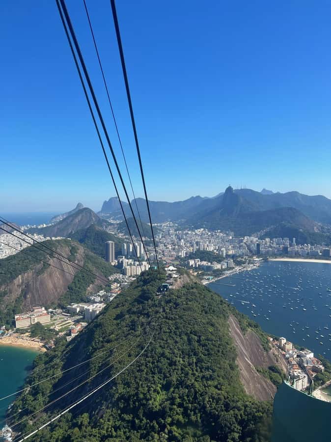 Rio de Janeiro: Christ the Redeemer, Sugarloaf, & City-tour - Tijuca Forest and the climb toward Christ the Redeemer