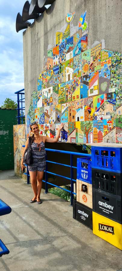 Rio de Janeiro: Favela Santa Marta Tour with Resident Guide - What the $27 price really buys you