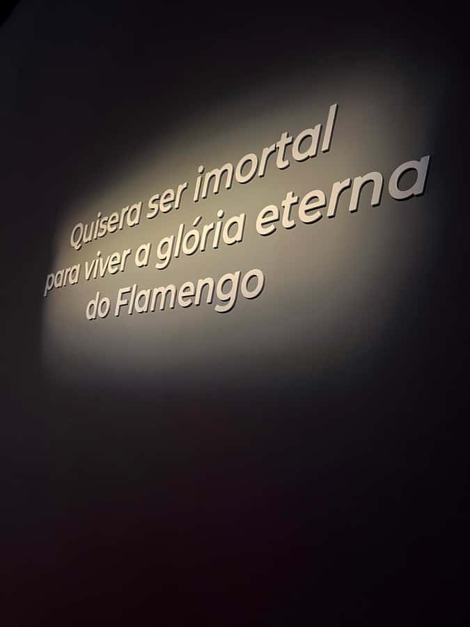 Rio de Janeiro: Flamengo Museum Ticket Entrance - Fourteen themed sections with a modern touch