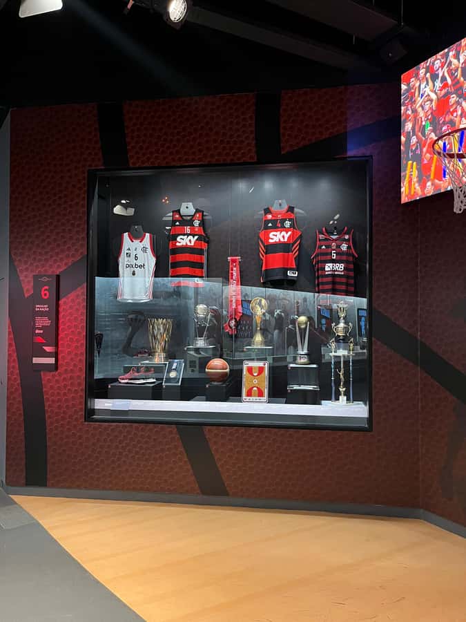 Rio de Janeiro: Flamengo Museum Ticket Entrance - A digital guide in English, Spanish, and Portuguese