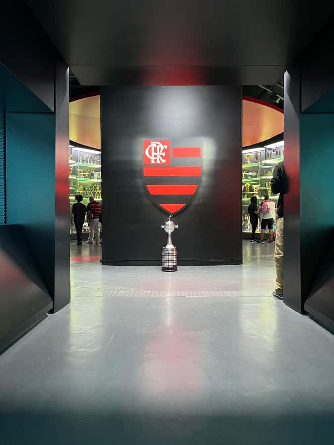 Rio de Janeiro: Flamengo Museum Ticket Entrance - Four floors of trophies and sporting memory