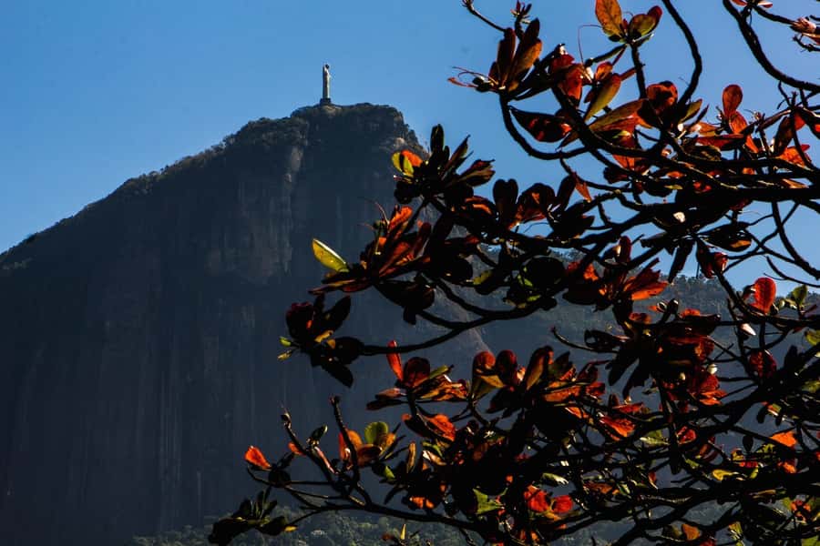 Rio de Janeiro: Guided Bike Tours in Small Groups - The 3-Hour Urban Tour: Copacabana, Sugarloaf, and Lagoa