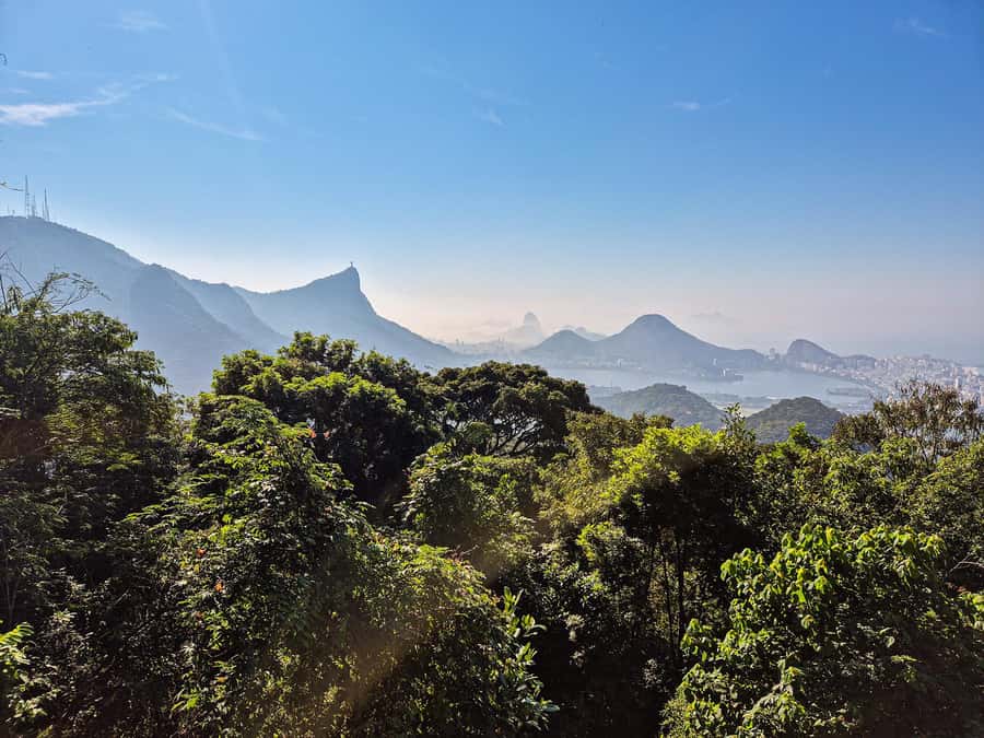 Rio de Janeiro: Guided Jeep Tour through Tijuca Rainforest - Is $90 a fair price?