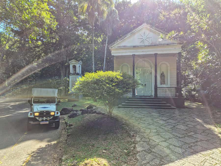 Rio de Janeiro: Guided Jeep Tour through Tijuca Rainforest - Why Tijuca Rainforest is worth your morning