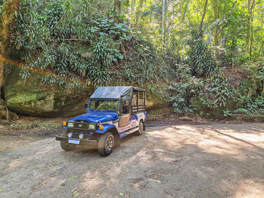Rio de Janeiro: Guided Jeep Tour through Tijuca Rainforest - Pickup, timing, and the practical side
