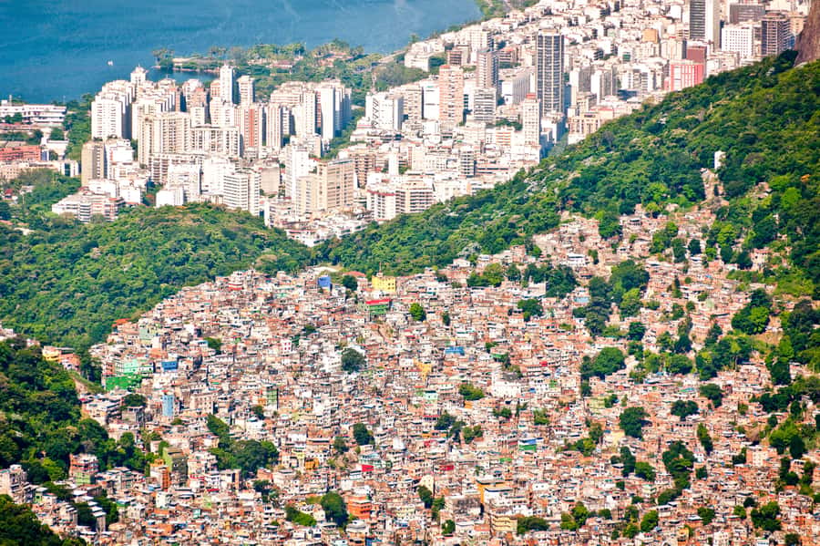 Rio De Janeiro: Half-Day Rocinha Favela Walking Tour - The stories behind the headlines