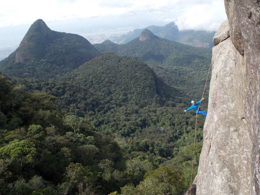 Rio de Janeiro: Hiking and Rappelling at Tijuca Forest - Walking through the Atlantic Forest