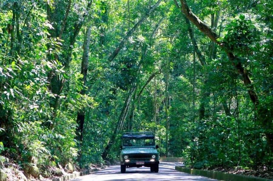 Rio de Janeiro: Jeep Tour Christ the Redeemer + Sugar Loaf - Through Tijuca Forest to Christ the Redeemer