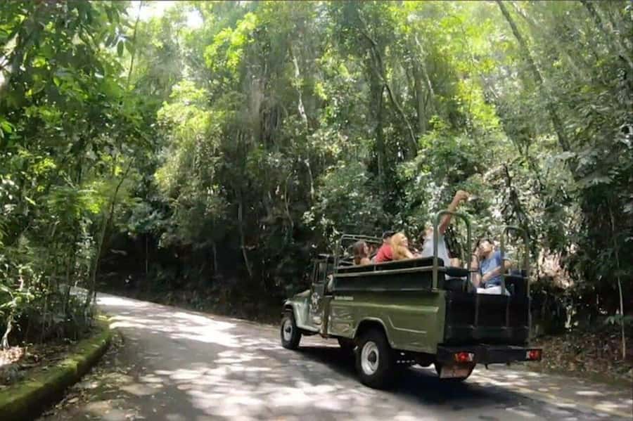 Rio de Janeiro: Jeep Tour Christ the Redeemer + Sugar Loaf - Who will get the most from this tour