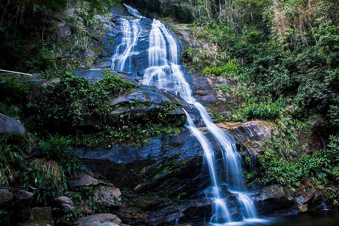Rio de Janeiro Jeep Tour : Tijuca Forest - A light trail to Cachoeira dos Macacos