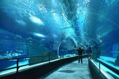Marine Aquarium Entry Tickets