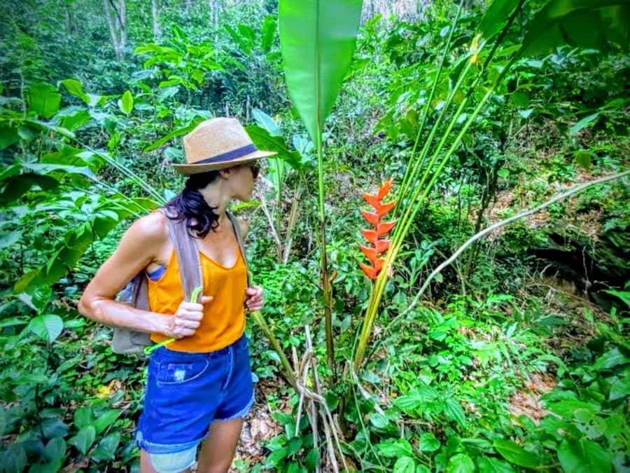 Rio de Janeiro Nature Secrets 'The Eco Citytour' - Prainha Beach is the scenic finish
