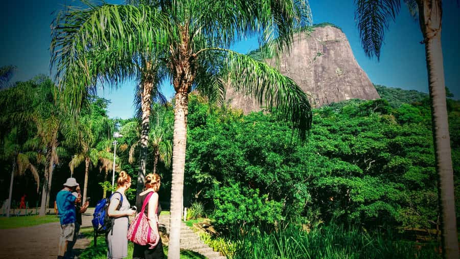 Rio de Janeiro Nature Secrets 'The Eco Citytour' - Penhasco Dois Irmãos starts with classic beach views