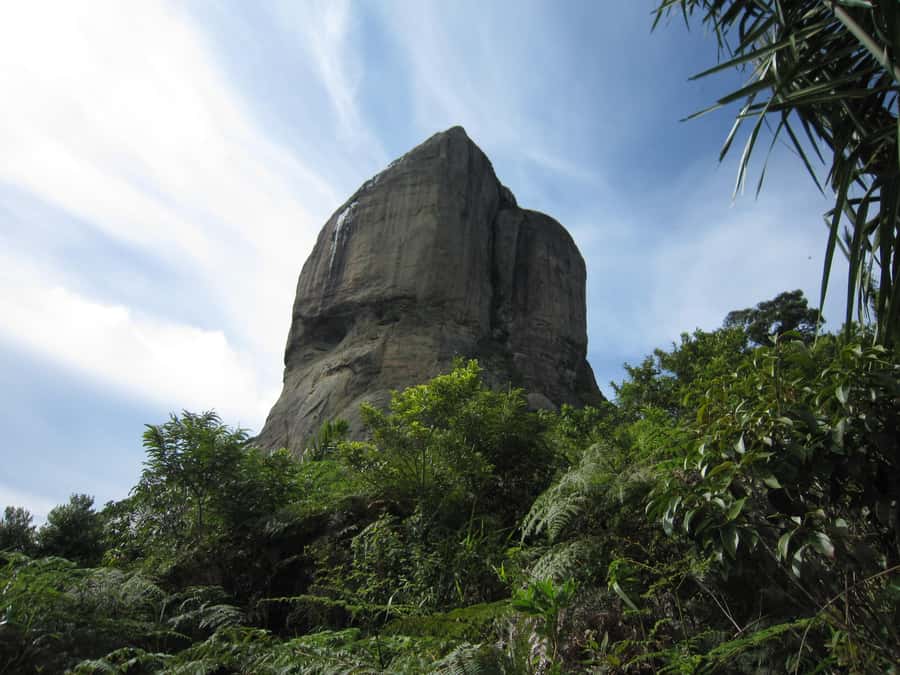 Rio de Janeiro: Pedra da Gavea Adventure Hike - Who should book this Rio adventure
