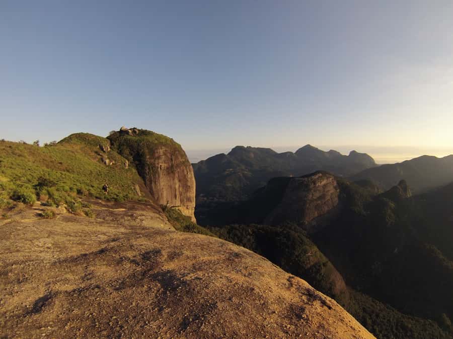 Rio de Janeiro: Pedra da Gávea Guided Hike Tour - Wildlife and the Atlantic Forest setting