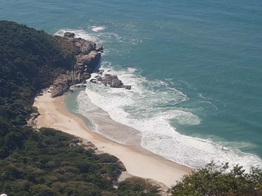 Rio de Janeiro: Pedra do Telegrafo Hike & Grumari Beach Tour - Who should book this Pedra do Telegrafo tour?