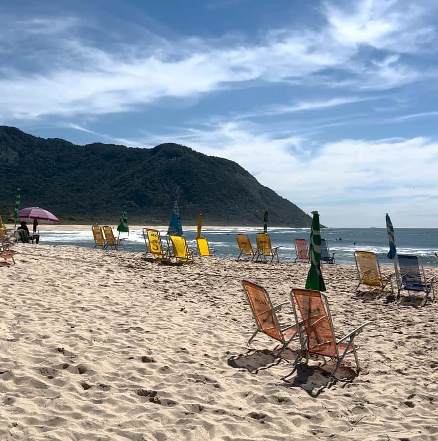 Rio de Janeiro: Pedra do Telégrafo trail and beach stop - The 2-kilometer forest hike