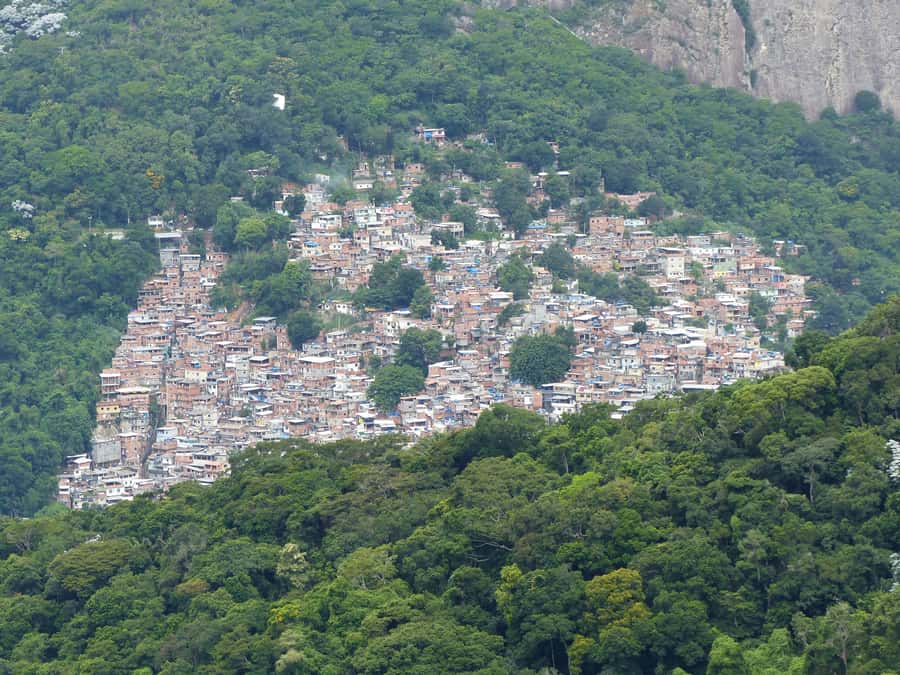 Rio de Janeiro: Private Day Tour with lunch - Starting from Copacabana, Ipanema, or Leblon