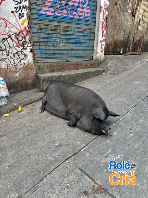 Rio de Janeiro: Rocinha Favela guided tour - What this Rocinha walk is really trying to show you