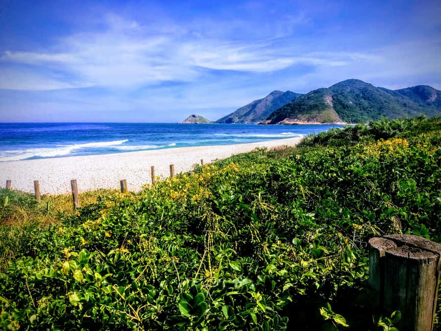 Rio de Janeiro Secluded Beaches: Hike+Swim Prainha & Grumari - Should You Book the Prainha and Grumari Trip?