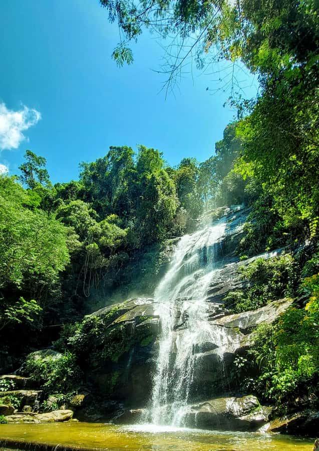 Rio de Janeiro: Tijuca Forest Challenge Hike Full-Day Trip - Vista Chinesa on working days