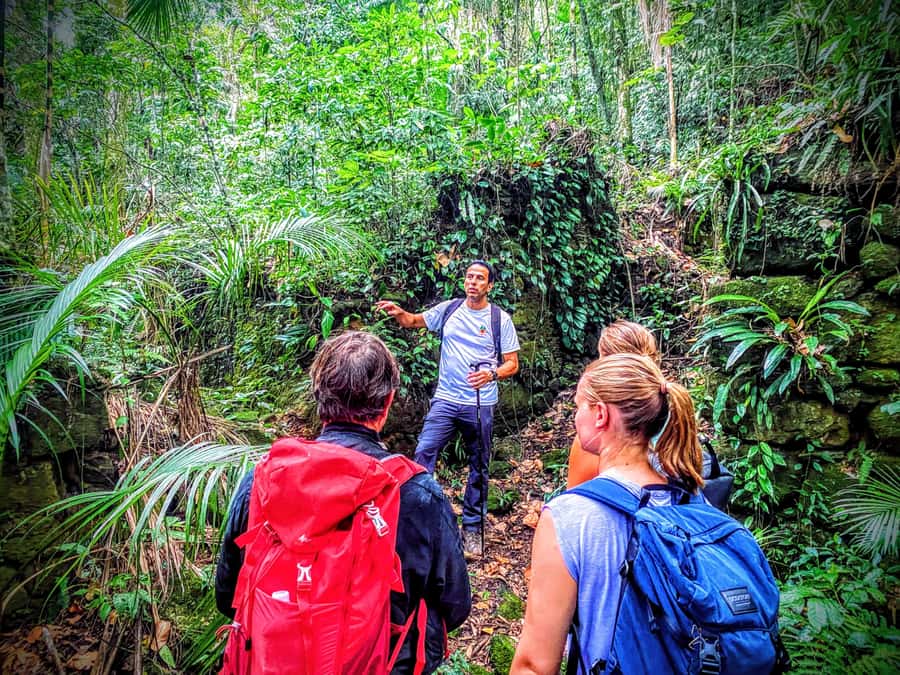 Rio de Janeiro: Tijuca Forest Challenge Hike Full-Day Trip - The main climb: rough trail and serious elevation