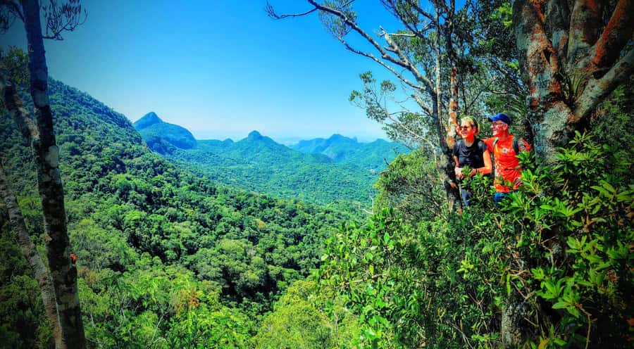 Rio de Janeiro: Tijuca Forest Challenge Hike Full-Day Trip - A quieter trail to coffee-farm ruins