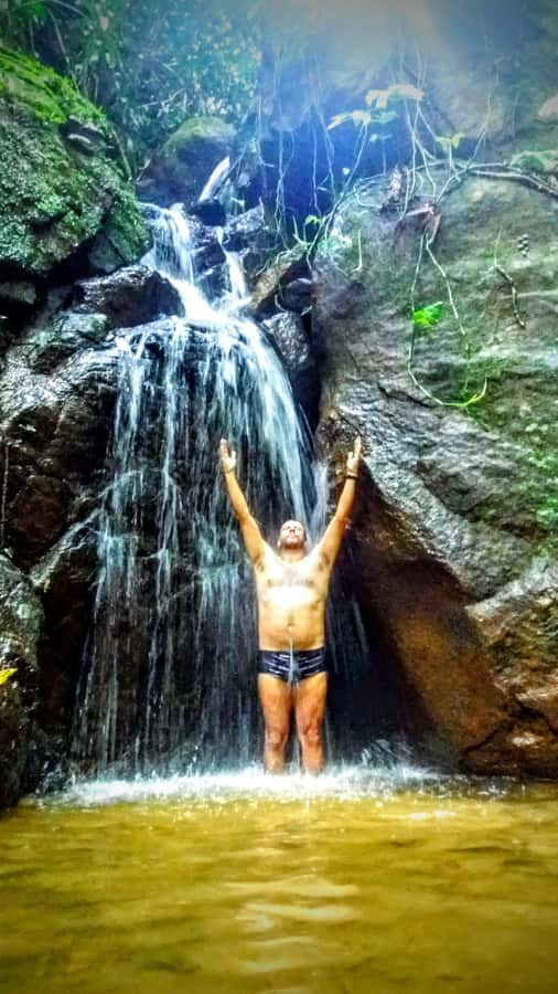 Rio de Janeiro: Tijuca Forest Challenge Hike Full-Day Trip - Pickup from Rio’s South Zone